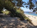 Camping du phare